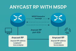 Dynamic & Resilient RPs with Auto-RP and MSDP